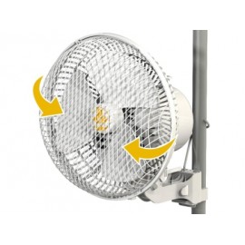 MONKEY FAN 20W OSCILLANTE