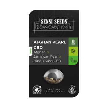 SENSI SEEDS - AFGHAN PEARL CBD - SEMI AUTOFIORENTI